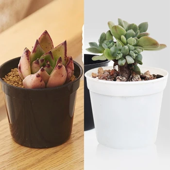 10 Stk Mini Plast Round Flower Pot Indendørs Plante Krukker Dræning Minimalistisk Hvid/Sort Home Decor Blomst Havearbejde Potter til