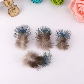 Naturlig høj kvalitet påfugl fjer peacock blå stykke DIY tilbehør dekorative materiale fjer