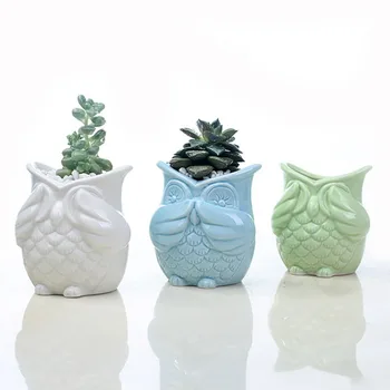 Keramik Ugle Flower Pot Saftige Planter Pot Søde Dyr Design Cactus Flower Container Grønne Bonsai Holder Til Indendørs Planter