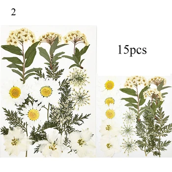 1 Pakke Rigtige Tørrede Blomster Tørre Planter Til Aromaterapi Stearinlys Epoxy Resin Vedhæng Halskæde Smykker at Gøre Håndværk DIY Tilbehør