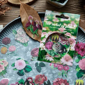 8 Modeller 30 Ark Plante Hemmeligheder Serie Retro Flower Scrapbooking Hånd Konto DIY Materiale Dekorative Klistermærker Pack