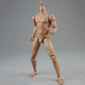 1:6 2.0 muskel mandlige mand, dreng krop BD003 /BD004 bred skulder normal/høj version action figur hud farve