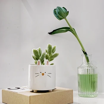 Saftige Keramik Potte Kreative Mini Haven Soveværelse Desktop Dyr Formet Saftige Urtepotte Kontor Dekoration