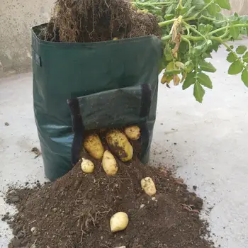 Kartoffel Tomat Vegetabilske Dyrkning Tasker Plante, Der Vokser Container Haven Værktøj
