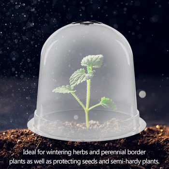 6 Packs 8 Inches Have Cloche Dome Plante Bell Protector Dække Med 10 Stk Plante Etiketter Og 18 Stk Jorden Sikring Af Pinde
