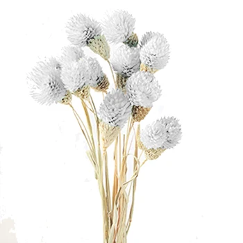 Verden Amaranth Blomst Tørrede Blomster, Hvide Bryllup Jordbær Græs Dekoration, Farverige Kunstig Blomst