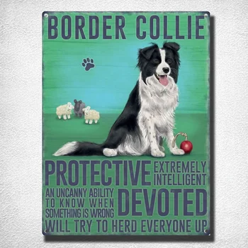 Border Collie Hund Hund Metal Sign Skjold Kuppel Metal, Tin Skilt 20 X 30 Cm Home Decor