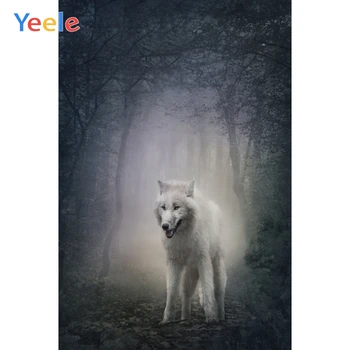 Yeele White Wolf Skov Træer Fantasi Glen Dyr, Photocall Fotografering Baggrunde Fotografiske Baggrunde Til foto-Studio